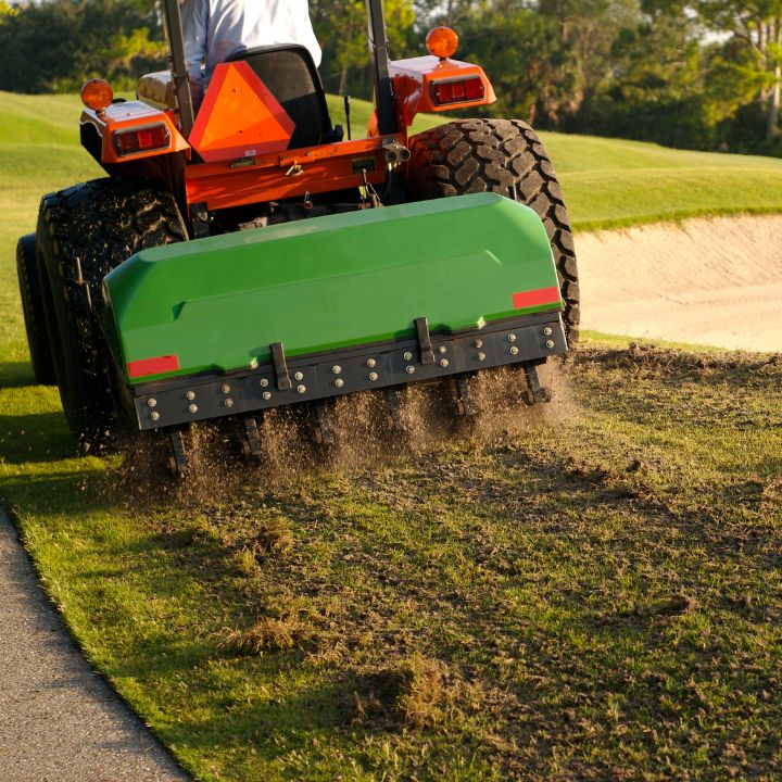 aeration lawn renovation