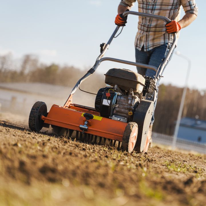 scarify lawn renovation