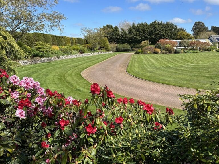 Large landscaped lawn maintained by Emerald Green Lawn Care in Arbroath
