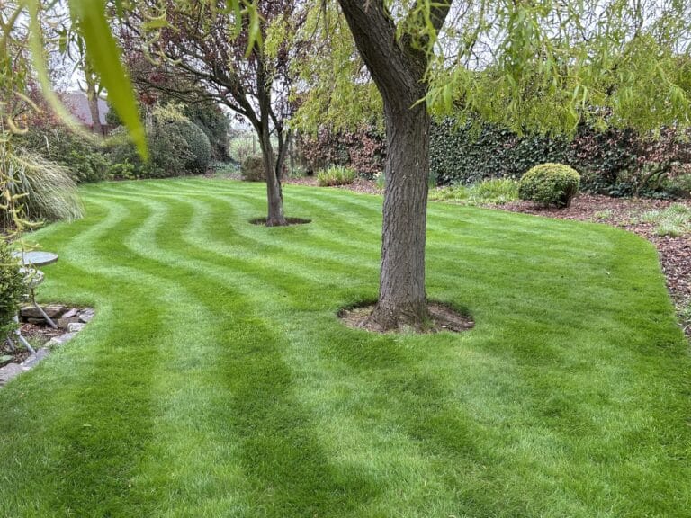 Premium striped lawn demonstrating professional lawn care services in Arbroath