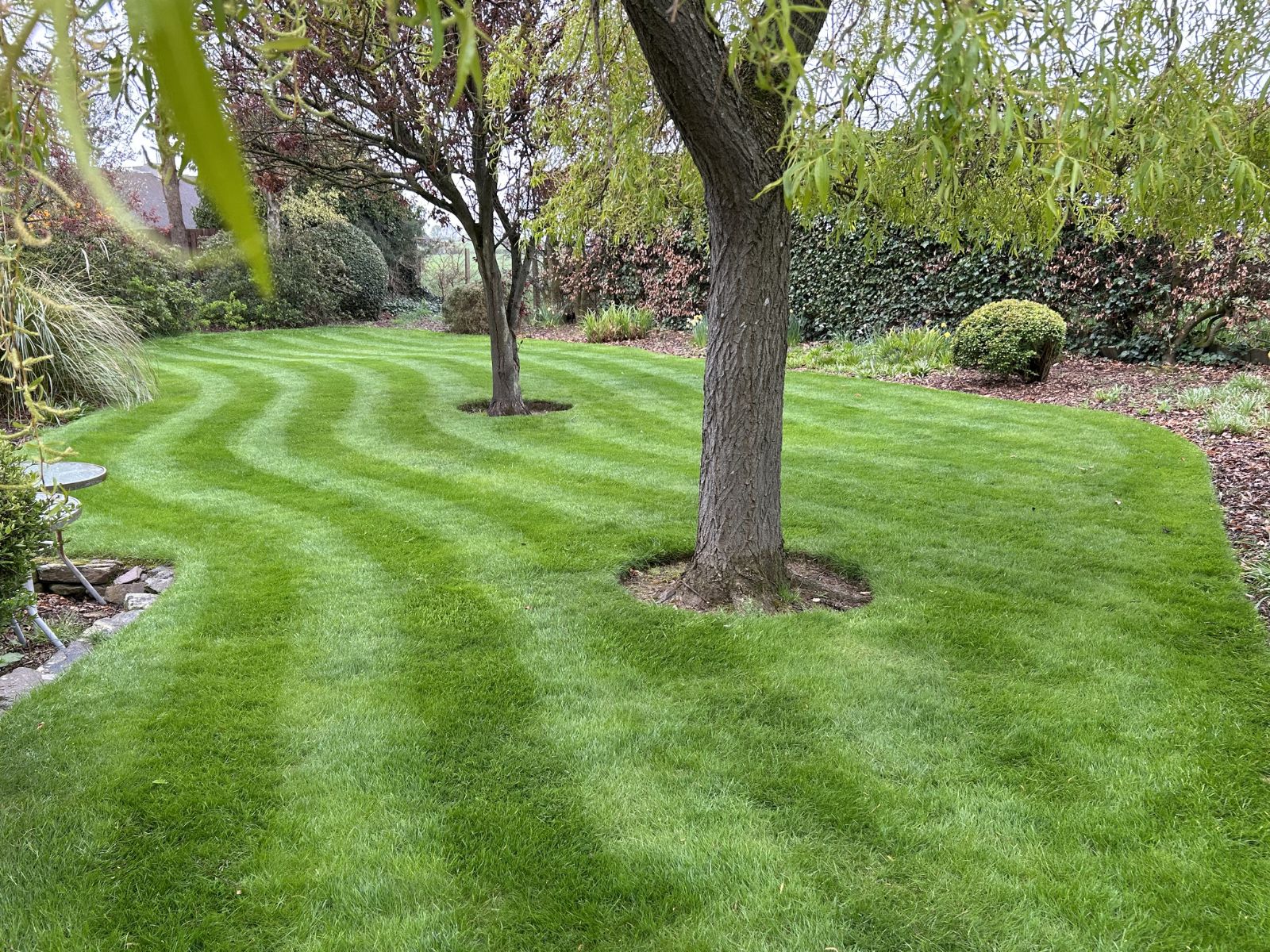 Premium striped lawn demonstrating professional lawn care services in Arbroath