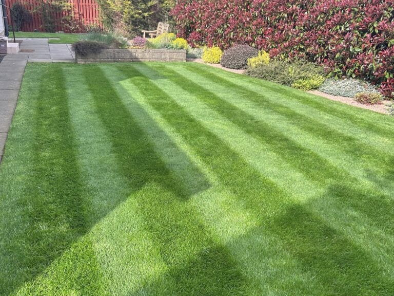 Healthy green striped lawn following professional lawn care treatment in Carnoustie