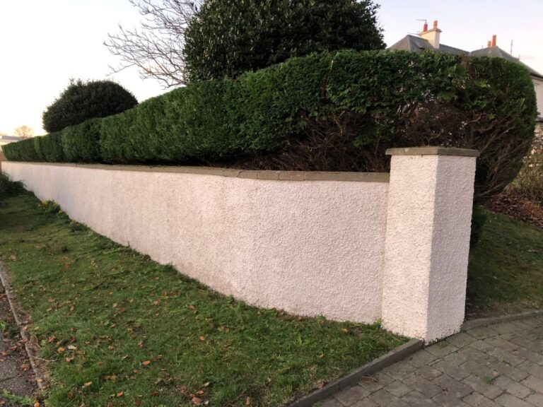 hedge reduction arbroath after